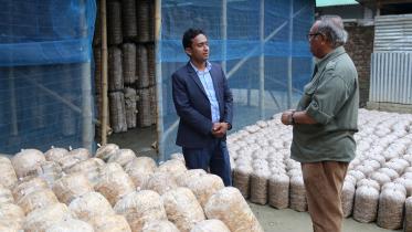 Miracle mushrooms.jpg