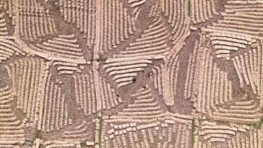 No Land Beneath Her Feet