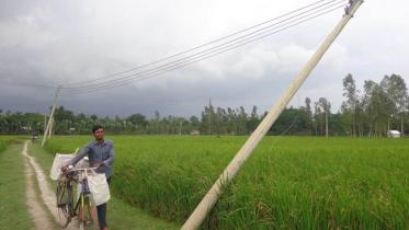 Palashbari upazila 1.jpg