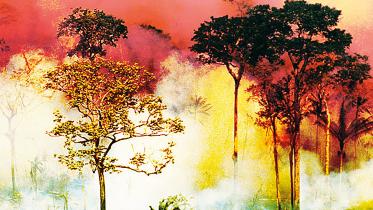 Poetry- Amazonia.jpg