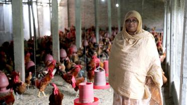 Poultry boon Hosne Ara.jpg