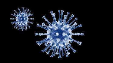 Coronavirus Outbreak in Bangladesh