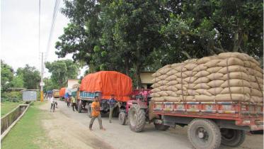 rice-procurement.jpg