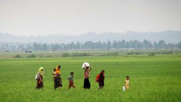 Rohingya-Refugee-crisis-1WB.jpg