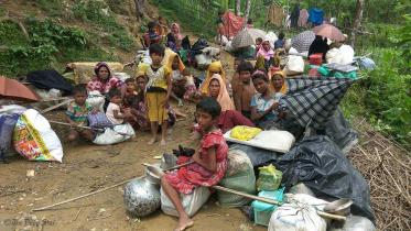Rohingya