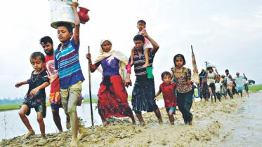 rohingya crisis.jpg