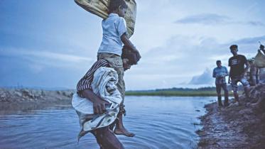 Rohingya refugee