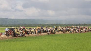 Rohingya Refugees-1.jpg