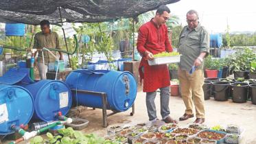 Rooftop gardening.jpg