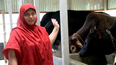 Sabina Yeasmin integrated agro-farm.jpg