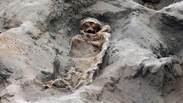 sacrificed children wb.jpg