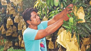 Saidur Rahman Shahin.jpg