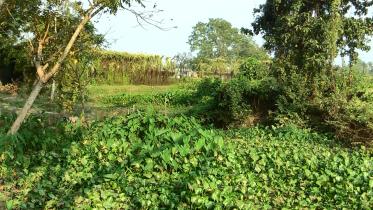 Senarbadi village.jpg