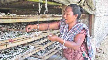 Silk industry in Chittagong Hill Tracts 