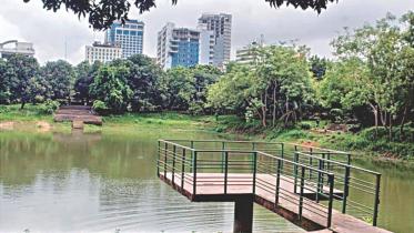 social responsibility