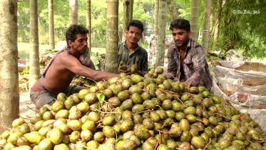 Star Day At A Glance.jpg