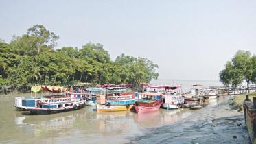 sundarbans.jpg