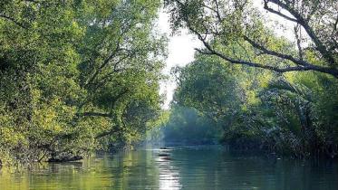 Sundarbans.jpg