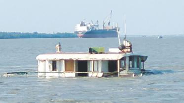 World Largest Mangrove Forest Sundarbans