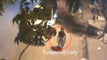 suspected lady wb.jpg