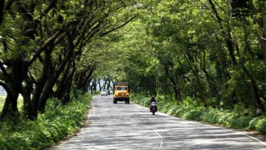 Sylhet Sheikh Nasir---7.jpg