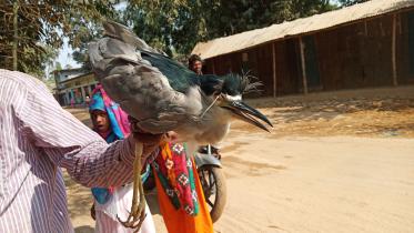 Sylhet Sheikh Nasir..04.02.2020. (20).jpg