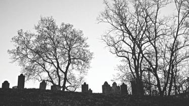 The cemetery ghost