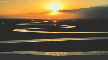 The snake that fell ill