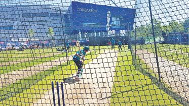 tigers in burmingham.jpg