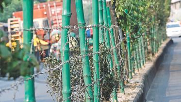 traffic indiscipline.jpg