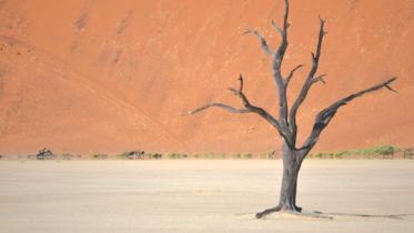 University without a campus