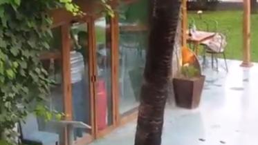 Dhaka-hostages-video