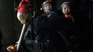 vietnam aging population