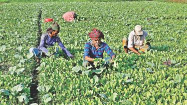 winter vegetables 1.jpg