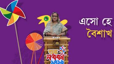 Bangladesh's economy will be overhauled once mega projects completed: PM