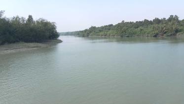 sundarbans.jpg