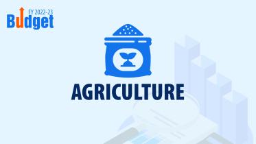 National budget fertiliser