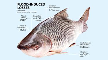 Sylhet flood situation