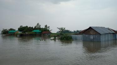 Flood death toll rises