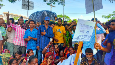 Tea workers daily wage