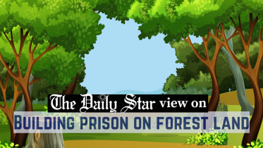 building_prison_on_forest_land.png