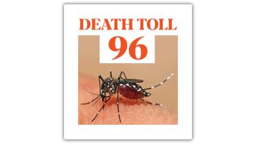 dengue death 