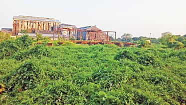 Bangladesh sugar mills