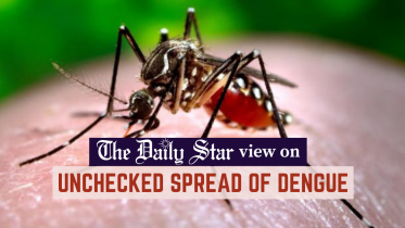 unchecked_spread_of_dengue.png
