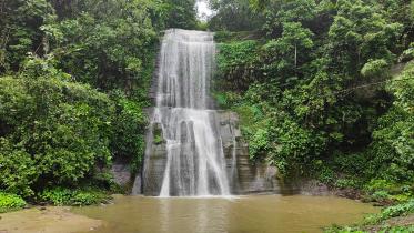 Top 5 places to visit in Sreemangal