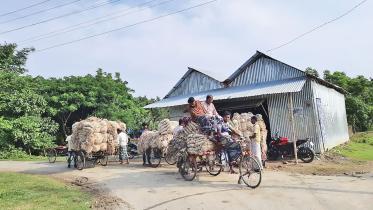 jute-at-moyendia-bazar-1.jpg