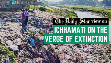 ichamati on the verge of extinction
