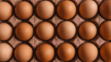 Eggs as Superfood