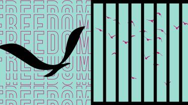 Freedom of the press.jpg