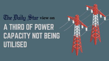 a third of power capacity not being utilised